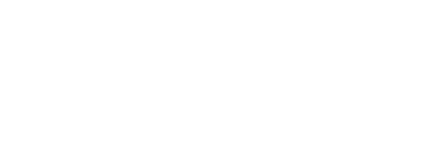 logo-magnus-blanc